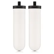 British Berkefeld Ultra Sterasyl Filterelementen (2-pack)