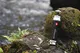Katadyn Pocket Waterfilter afbeelding 4 — alt-tekst aanvullen