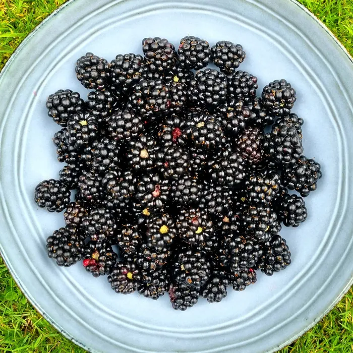 Cover for 3 recepten: kruiden in je water als smaakmaker