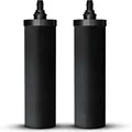 Phoenix Gravity Carbon koolstoffilter elementen