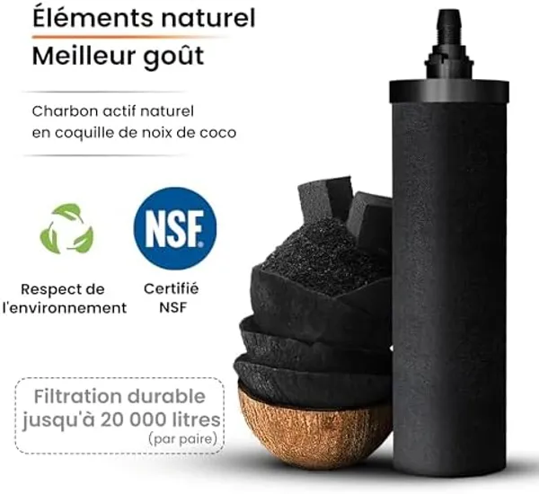 Phoenix Gravity 12L koolstoffilter elementen