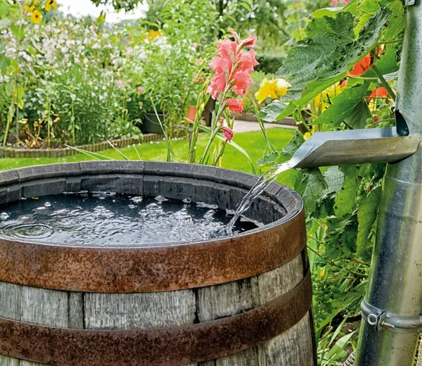 Regenwater opvangen en filteren tot veilig drinkwater met een zwaartekrachtfilter