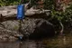 Sawyer Squeeze opgehangen als gravitysysteem aan een boomstam boven een beek